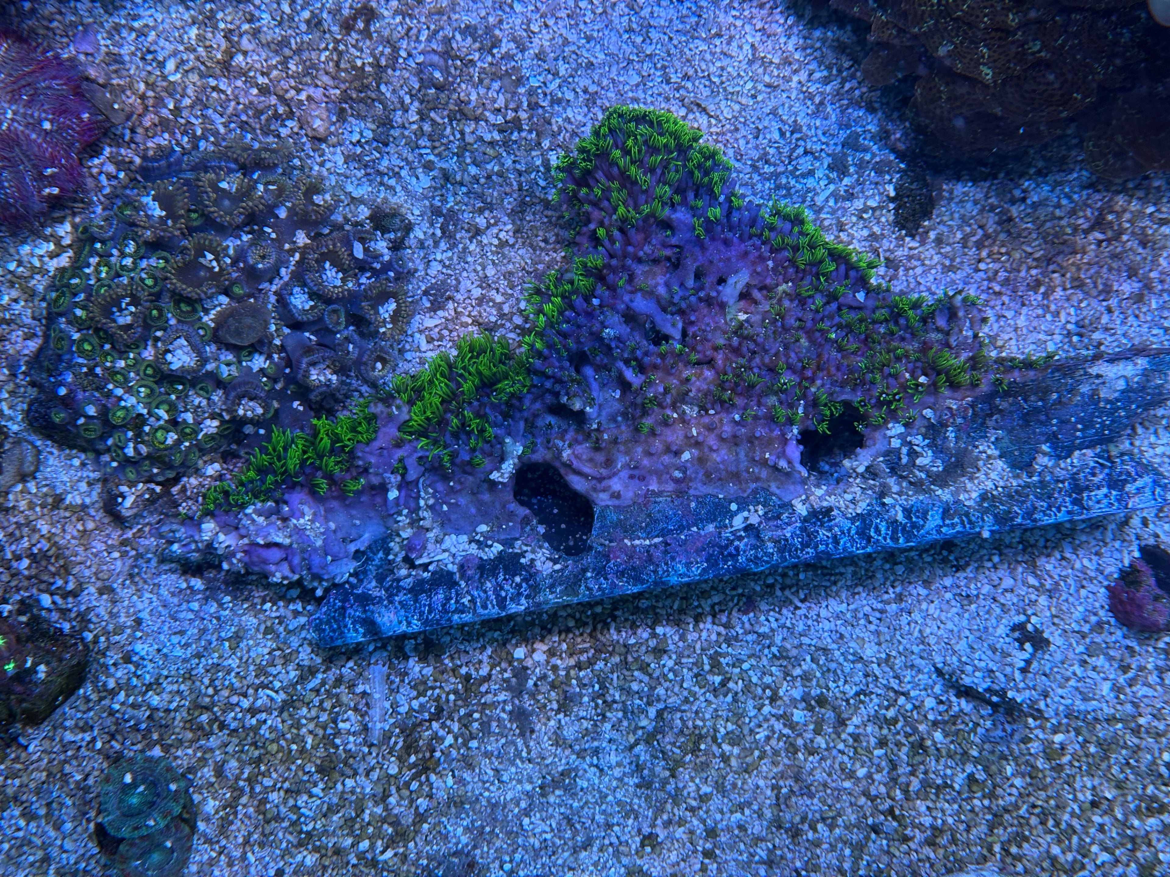 GSP-Covered Sunken Ship Reef Display – WYSIWYG | Cox Marine Creations