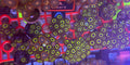 LA Lakers Zoas – Surprise Frag Pack (5+ Polyps) | Cox Marine Creations