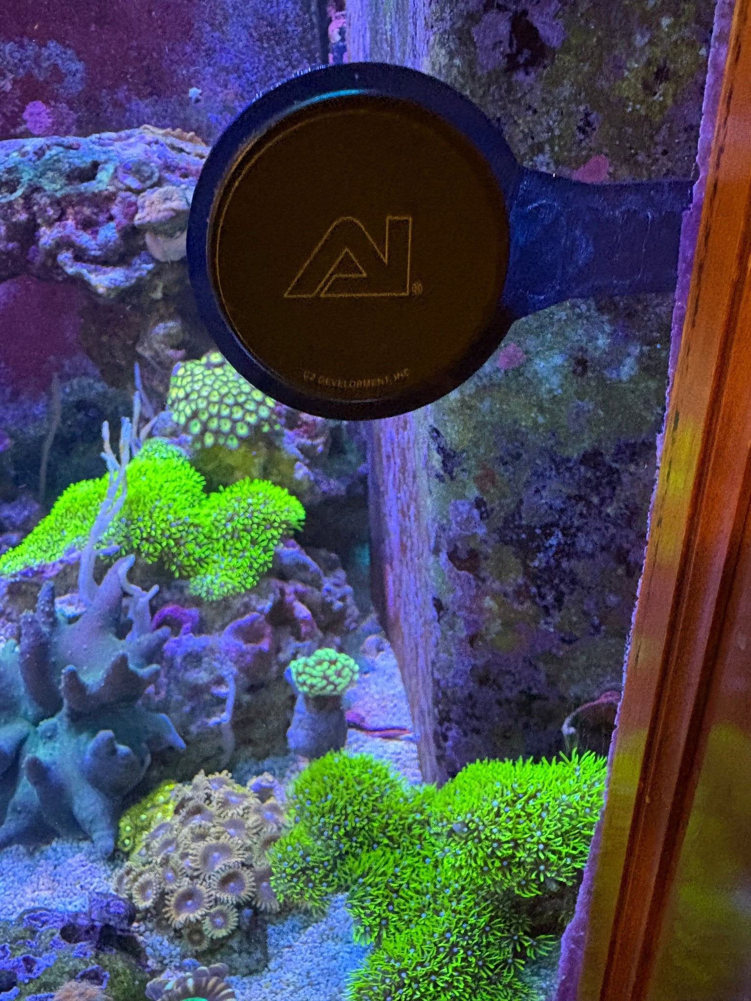 Nero 3 In - Tank 90° Mount – Tight Space Powerhead Holder – Reef - Safe | Cox Marine Creations - Cox Marine Creations - Homegrown Zoa’s and Frags