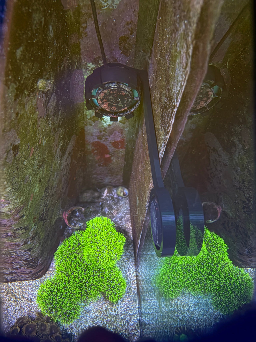 Nero 3 In - Tank 90° Mount – Tight Space Powerhead Holder – Reef - Safe | Cox Marine Creations - Cox Marine Creations - Homegrown Zoa’s and Frags