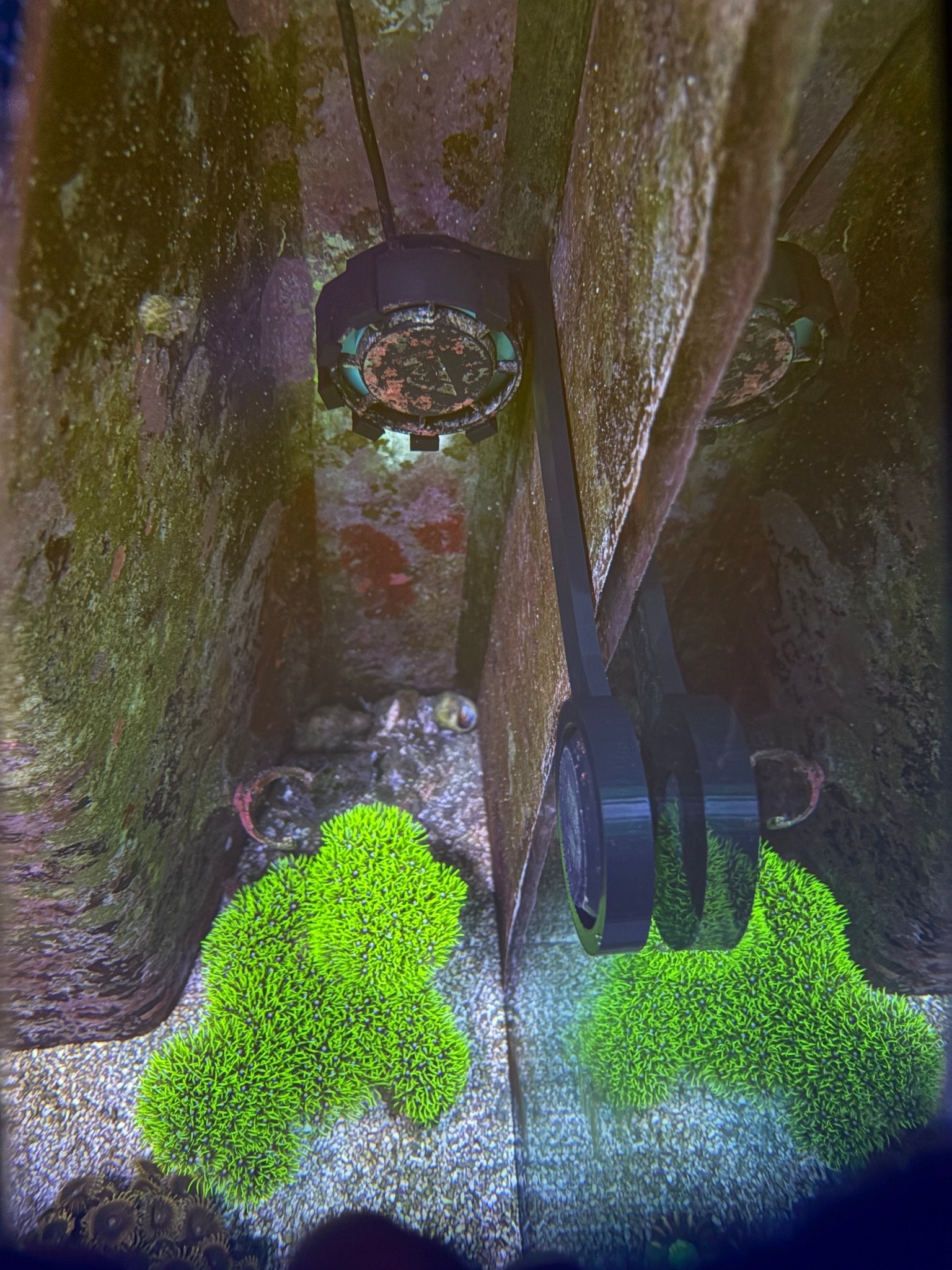 Nero 3 In - Tank 90° Mount – Tight Space Powerhead Holder – Reef - Safe | Cox Marine Creations - Cox Marine Creations - Homegrown Zoa’s and Frags